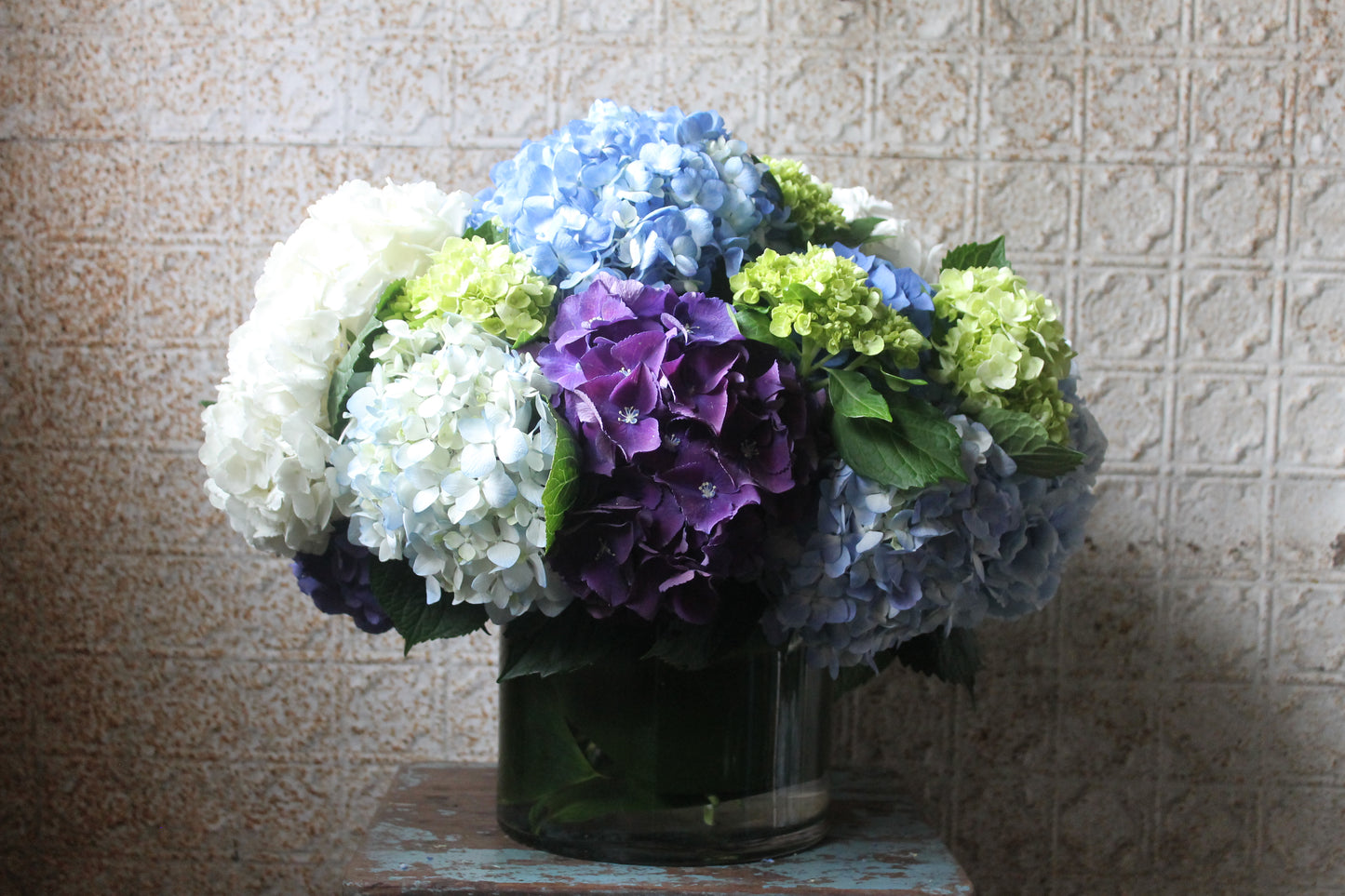 Nantucket Hydrangea