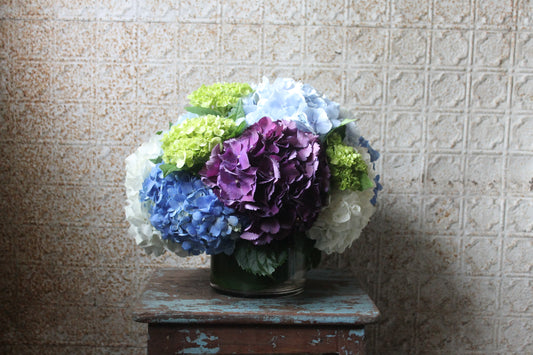 Nantucket Hydrangea