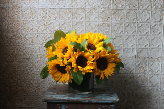 Sunflower Fields