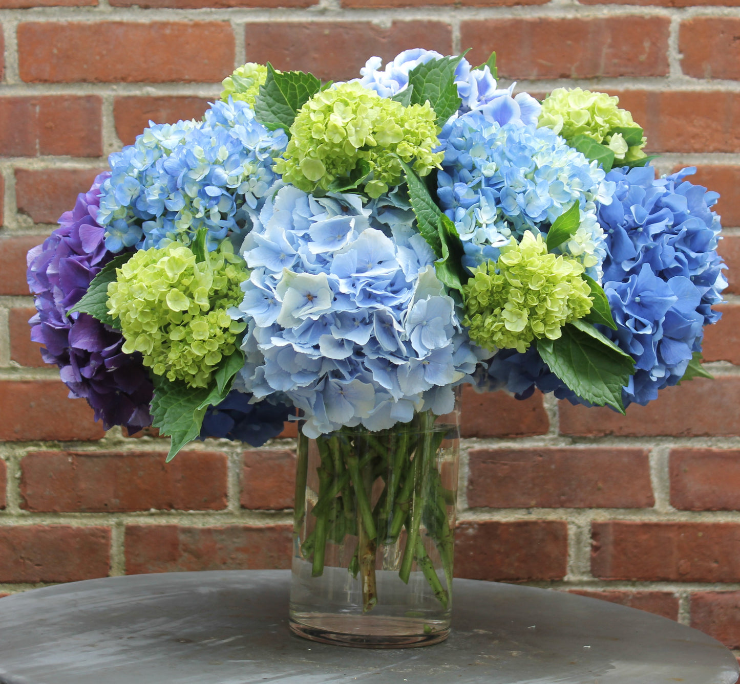Nantucket Hydrangea